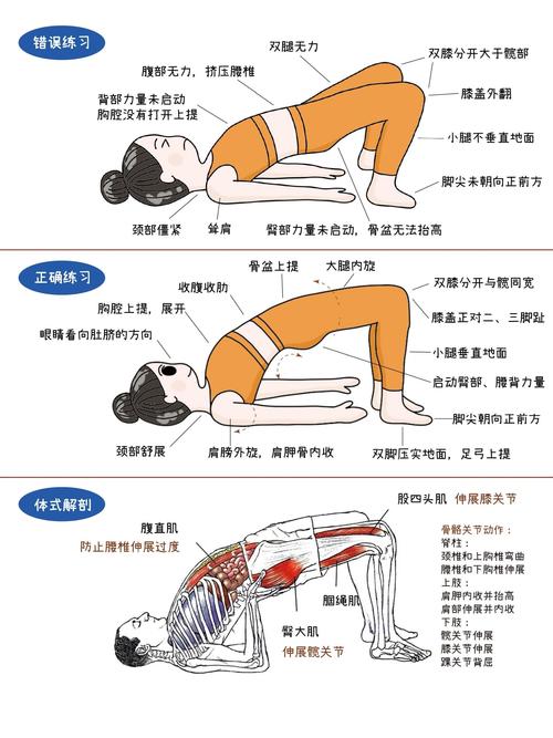 双桥运动的标准动作_双桥锻炼核心稳髋，简单有效易上手