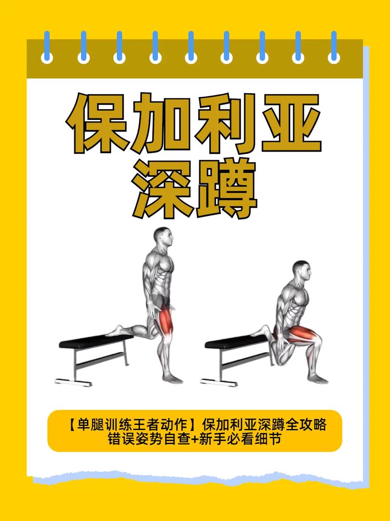 倒蹲练那个位置_倒蹲练出翘臀，塑形又健腿