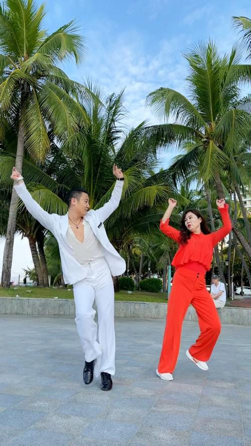 吉特巴双人舞分解动作_吉特巴舞基本动作与技巧