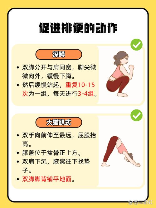 便秘做哪些动作可以排出来_便秘别愁,动动走走,顺时针揉揉,多喝水多散步 便秘做哪些动作可以排出来_便秘别愁,动动走走,顺时针揉揉,多喝水多散步