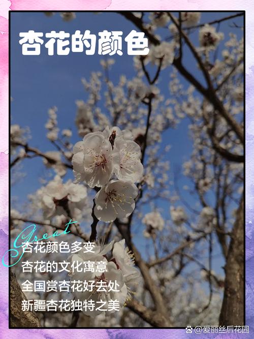 杏花色搭配什么颜色_高级时髦,轻松搞定! 杏花色搭配什么颜色_高级时髦,轻松搞定!