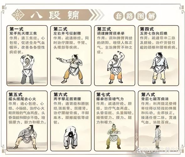 三拳四腿一膝一肘动作要领_肩肘协调，刚柔相济