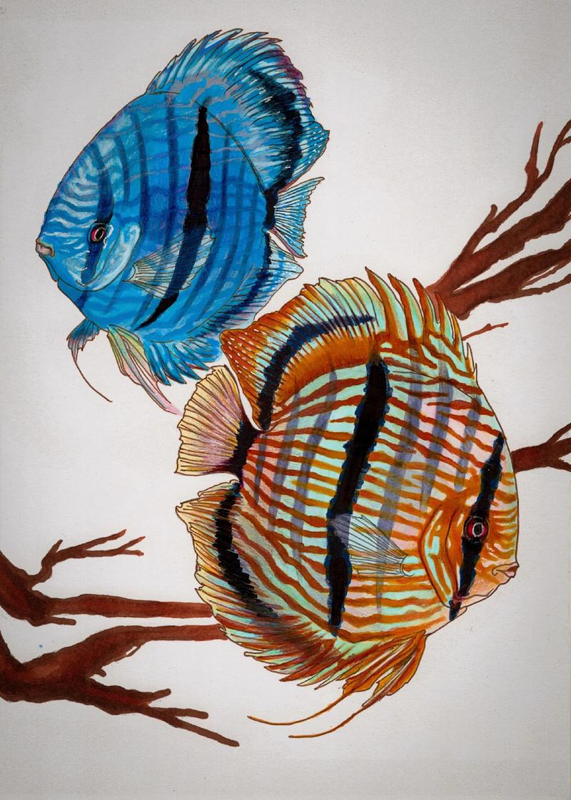 马克笔神仙配色_玫瑰马克笔渐变3D打印笔,创意迷你宠物模型 马克笔神仙配色_玫瑰马克笔渐变3D打印笔,创意迷你宠物模型