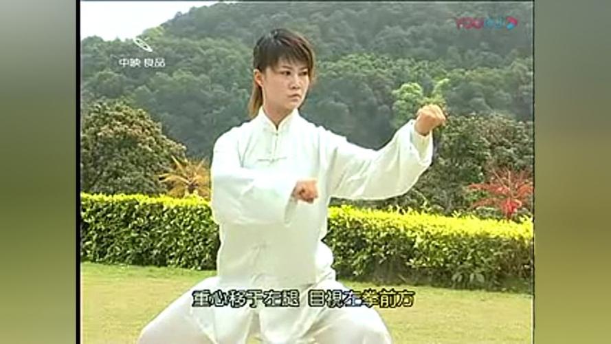 马畅56式太极拳背面演练_传神达意关键