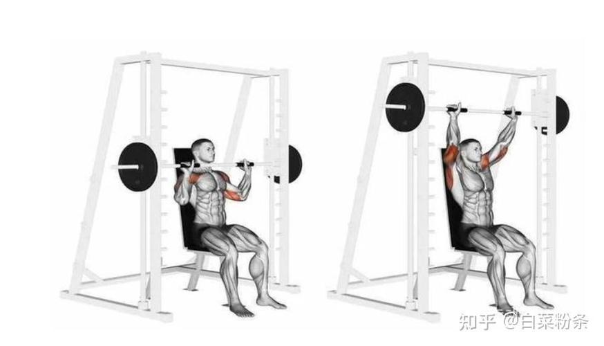 肩前束3个锻炼动作_哑铃推举侧平举练肩前束 肩前束3个锻炼动作_哑铃推举侧平举练肩前束