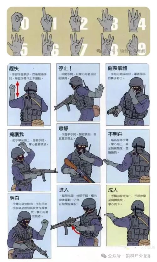 据枪的动作要领归纳_据枪姿势要稳，瞄准才能准！