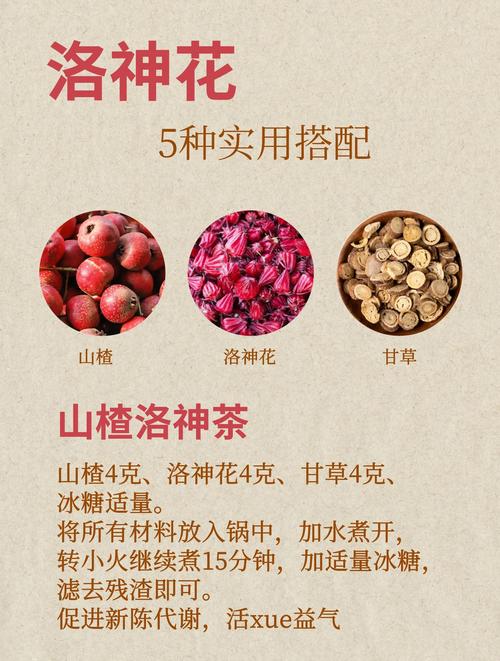 洛神花十大最佳搭配_洛神花蜂蜜甘草金银花乌梅枸杞健康饮 洛神花十大最佳搭配_洛神花蜂蜜甘草金银花乌梅枸杞健康饮