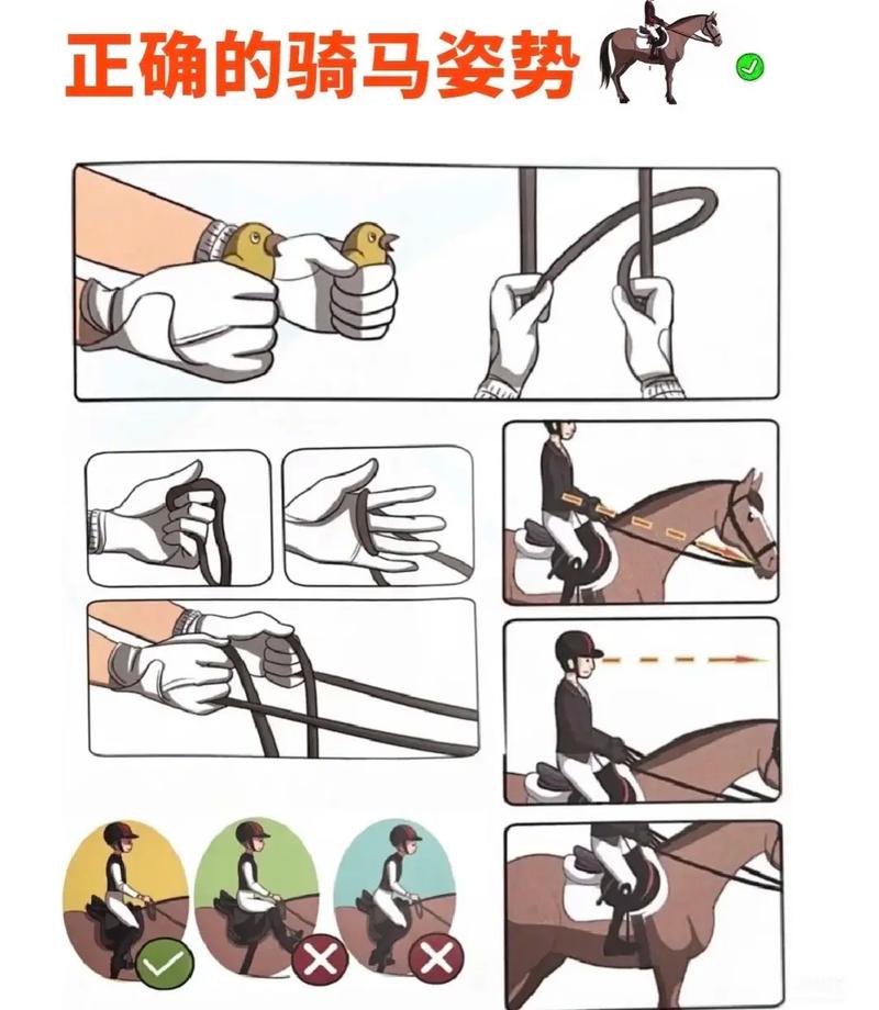 坐上管骑姿动作要领_安全舒适关键，正确调整坐垫高度和前后位置，保持膝盖微弯，对准脚踏轴心，提升效率，预防关节问题