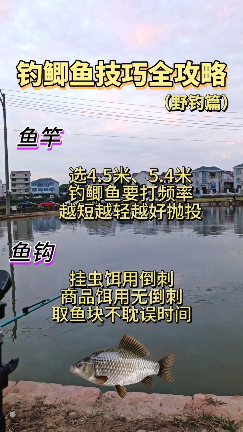 疯钓鲫单开好还是搭配好_单开与搭配效果详解 疯钓鲫单开好还是搭配好_单开与搭配效果详解